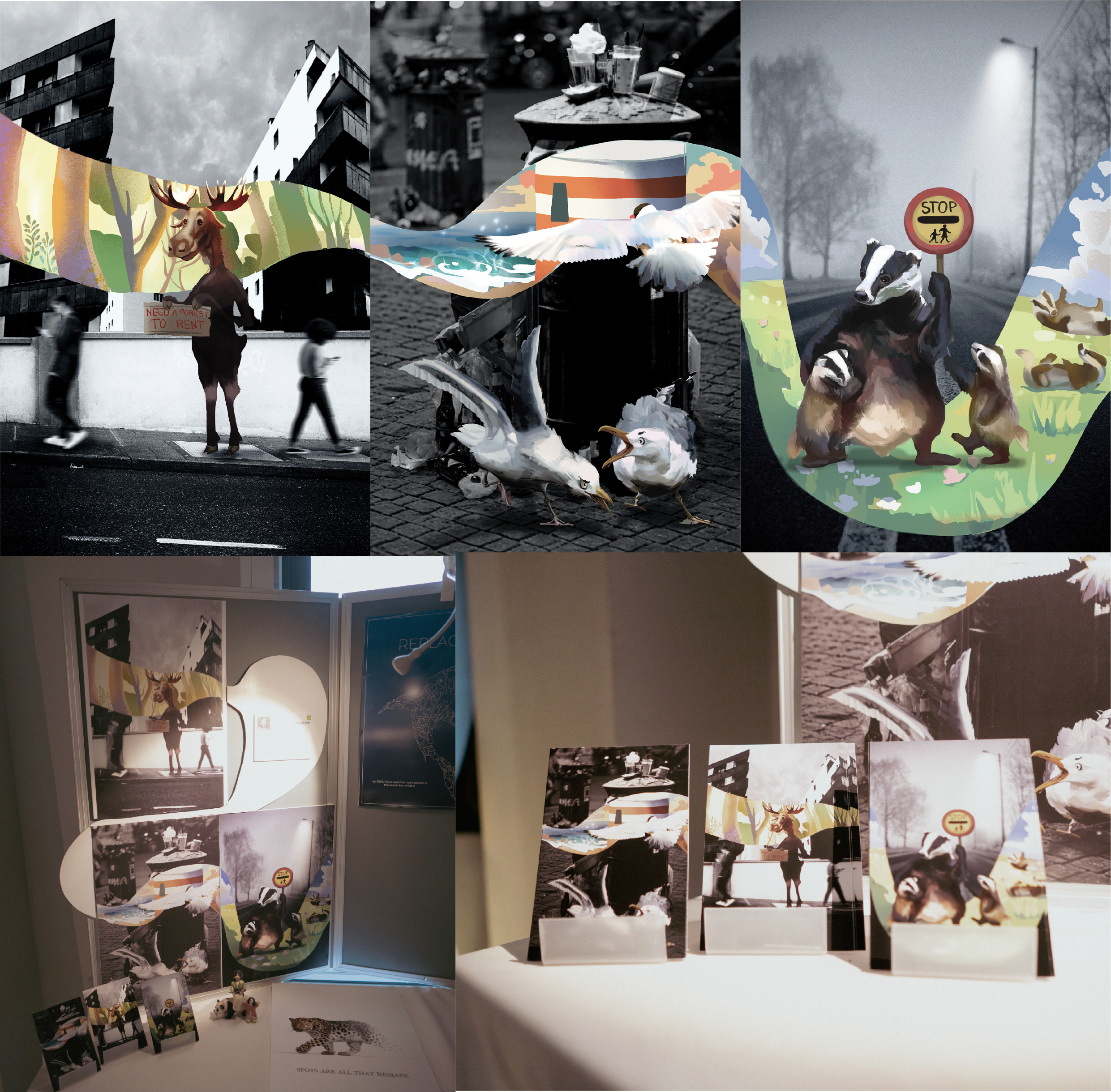 Environmental Awareness Poster Series cover