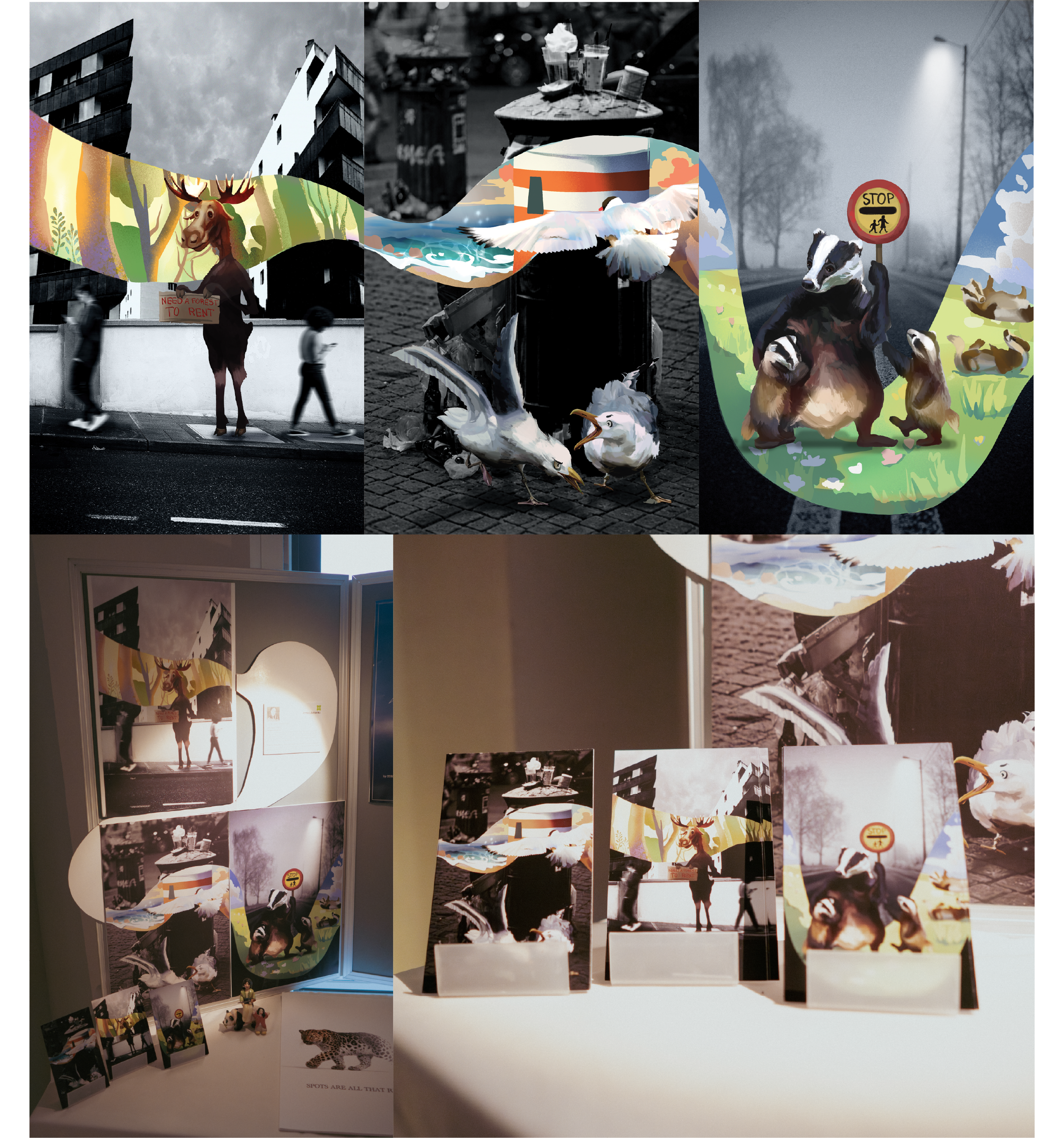 Environmental awareness poster series and exhibition display